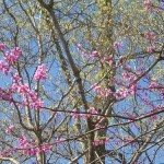 dscn0040