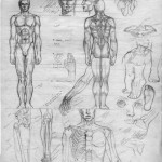 anatomy-sketches